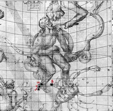 Gwiazdozbiór Wężownika rycina z dzieła Keplera De stella nova in pede Serpentarii (O gwieździe nowej