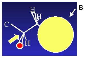 Izomeria w