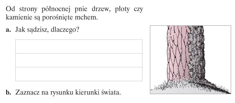 Zadanie 4. II WYZNACZANIE CZASU NA ZIEMI Teoria, czyli to, o czym musisz pamiętać Czas słoneczny jest różny w danym momencie w różnych miejscach na Ziemi.