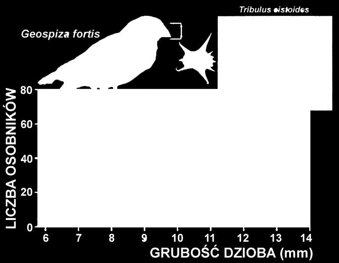 zdolność do dziedziczenia