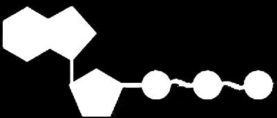 pirymidyna glikozydowo z pentozą (nukleozyd) estrowo z wysokoenergetyczną grupą fosforanową (nukleotyd) może tworzyć łańcuchowe oligo-