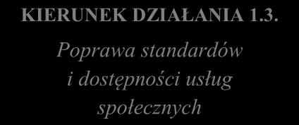 wolnego czasu Poprawa stanu bezpieczeństwa publicznego na obszarze rewitalizacji Zapewnianie udziału w życiu społecznym seniorom oraz osobom niepełnosprawnym Zwiększenie