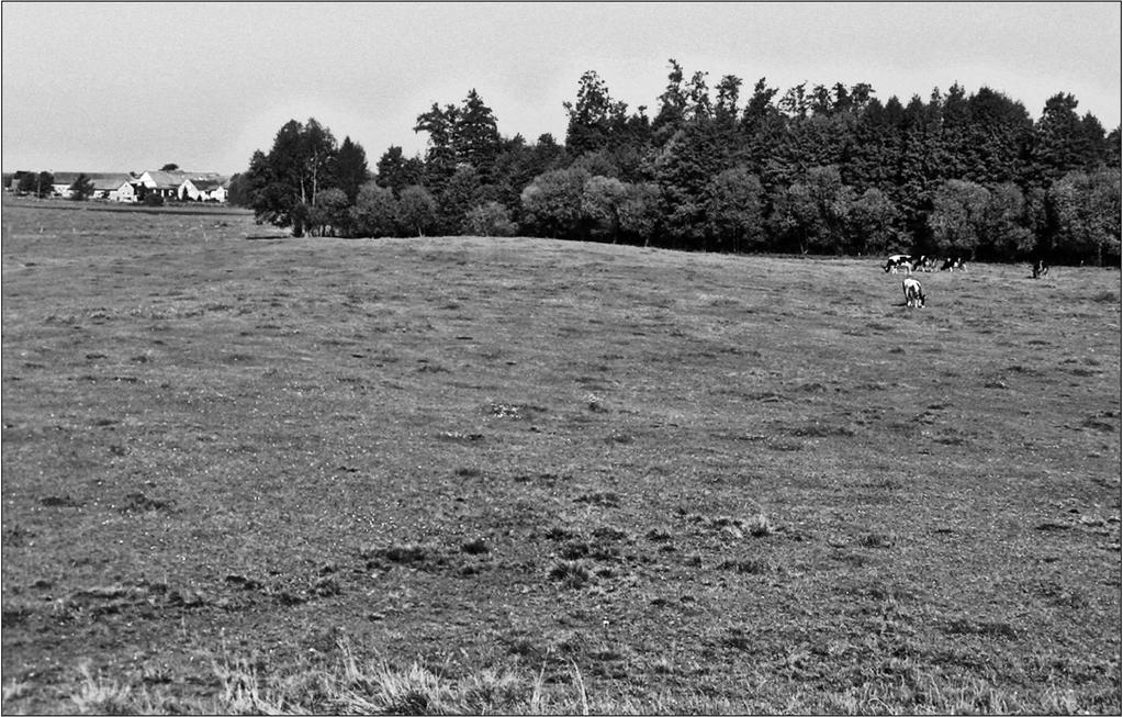 view of Site 3 - the settlement of