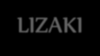 3. LIZAKI Dostępne smaki KOSTKI PIRAMIDKI DESENIOWE miks: truskawka, cytryna, zielone jabłuszko, pomarańcza miks: truskawka, cytryna,