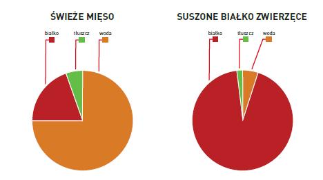 bezpieczeństwo WODA BIAŁKO Świeże mięso zaw.