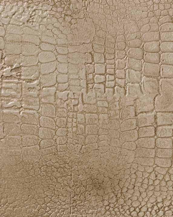 Powierzchnie ze strukturami o nietypowym charakterze Caiman Efekt złocistej skóry krokodyla Produkty StoColor Sil In