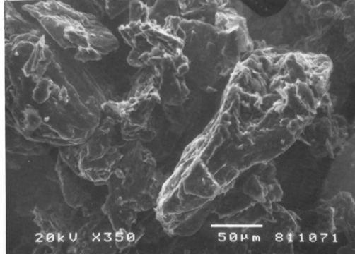 Cząstki C gr Mikrografia skaningowa. Fig. 9. C gr particles. A scanning micrograph.