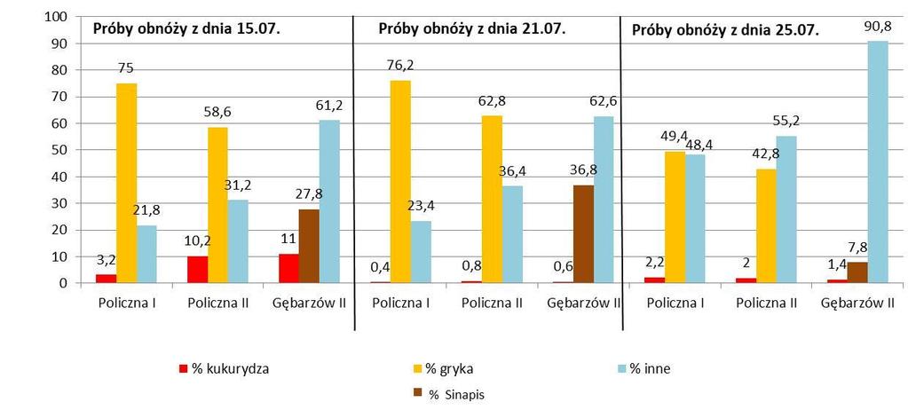 Wyniki analiz palinologicznych próbek obnóży pyłkowych pobranych od rodzin pszczelich w 2016 r. % gorczyca Poza pyłkiem kukurydzy i gryki, w obnóżach pszczelich z 2016 r.