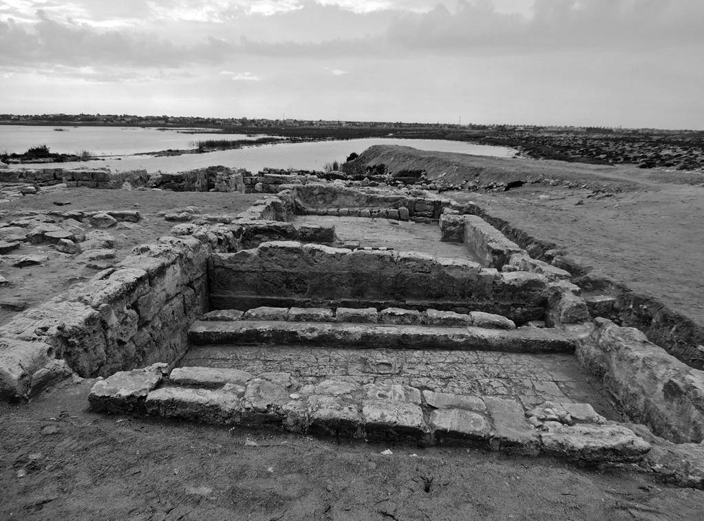 A LATE ANTIqUE house IN MAREA, EGyPT. EXCAvATIoN SEASoN 2014 Fig. 5.