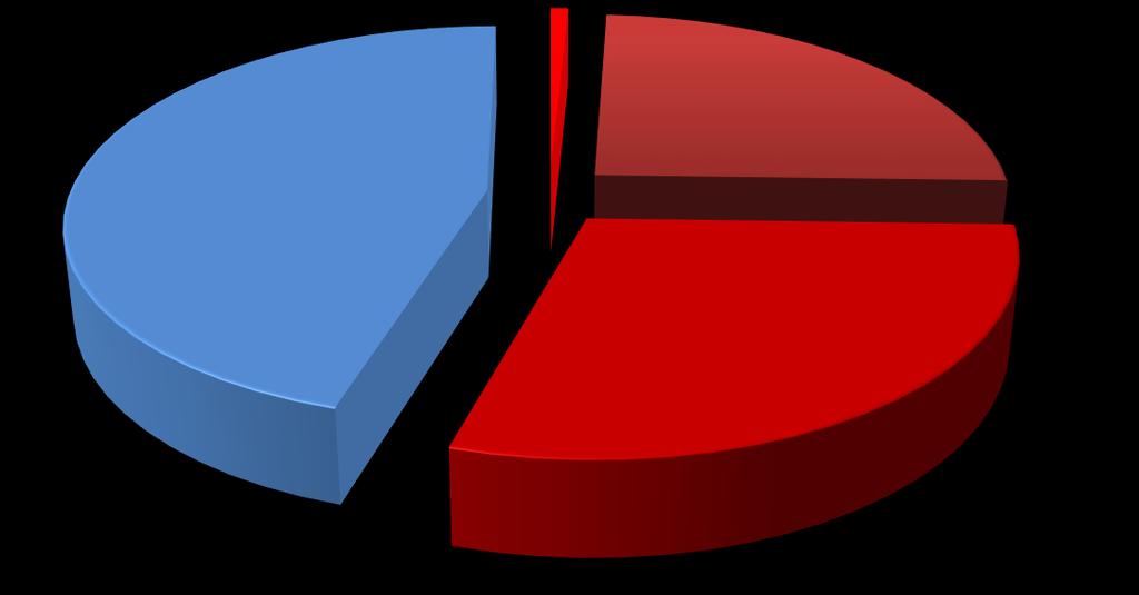 29% dosyć często od czasu do czasu raz lub kilka razy nigdy Częściej