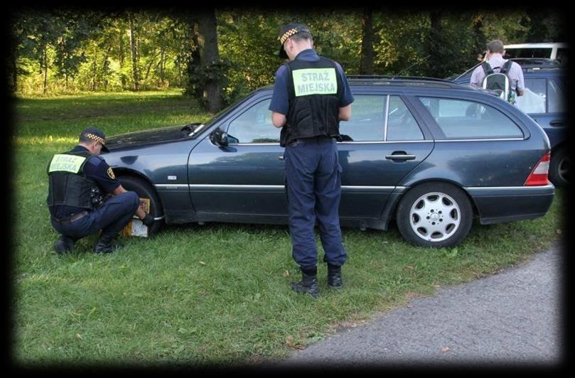 Wyniki działań w zakresie kontroli ruchu drogowego 216