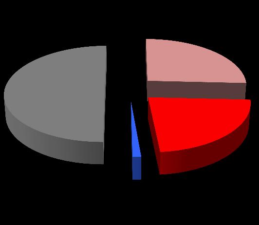 W I półroczu 2017 r. wspólne służby pełnione były od czwartku do soboty w godzinach 22.00 6.00 (1 patrol zmotoryzowany oraz 1 patrol pieszy).