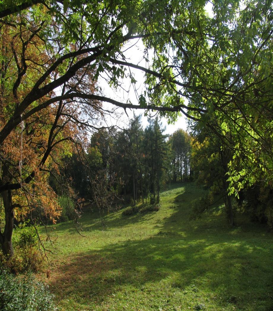 праекту архітэктара Т.