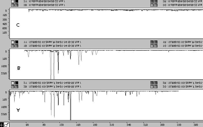 Personal identification based on nuclear DNA... 109 Fig. 2.