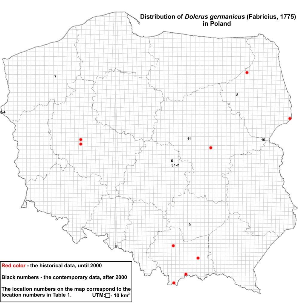 8 Drozdowo 9 Pińczów 10 Serpelice 11 Kampinos National Park - Wiejca meadows N 53 09 03 E 22 10 03 UTM: ED79 N 50 31 08 E 20 30 52 UTM: DA69 N 52 16 52 E 23 03 23 UTM: FC39 N 52 20 53 E 20 41 08 UTM: