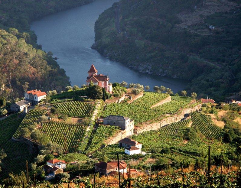 PORTUGALIA Portugalia to kraina wina i słońca. Koneserzy Porto znajdą tu mnóstwo odmian tego wina.