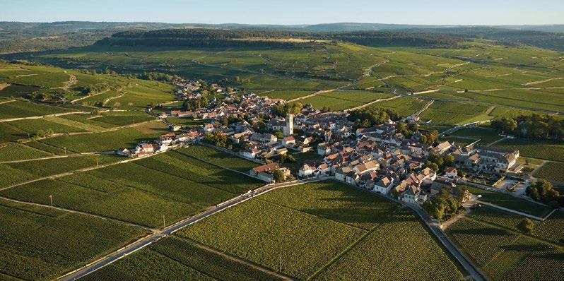 MAISON LOUIS LATOUR 32 Burgundia to jeden z najbardziej znanych regionów winiarskich świata.