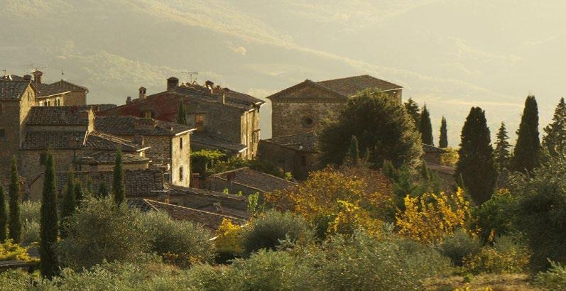 CITTO TOSCANA IGT Żywy rubinowy kolor. Aromaty wiśni i jagód z nutami przypraw i skóry.na podniebieniu jedwabiste i bogate,o intensywnym wiśniowym smaku. Przyjemne miękkie wykończenie.