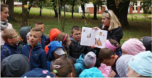 W poszukiwaniu jesieni Jesień to w przyrodzie jedna z najpiękniejszych pór roku. Cechuje się pięknymi barwami. Warto więc ją podziwiać i cieszyć oczy.