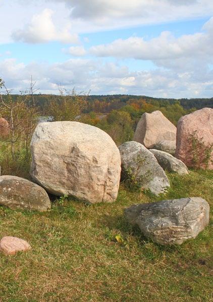 Głazowisko nad