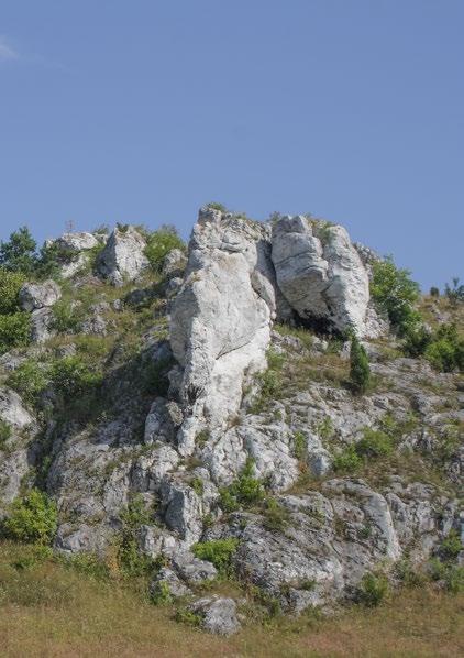 Skałki pod Olsztynem na