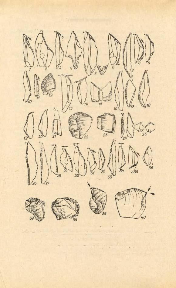 158 STEFAN K. KOZŁOWSKI Tablica I.