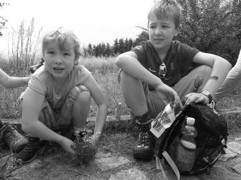 Juni Morgengebet und Pilgerweg nach Rosenthal Wallfahrtsgottesdienst mit unserm Bischof Wolfgang Ipolt Picknick, Spielangebote Rückfahrt mit Pferdewagen nach