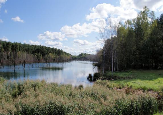 Trasa do Kromlau przebiega przez malownicze tereny Parku Krajobrazowego Łuk Mużakowa utworzonego na obszarze jednej z