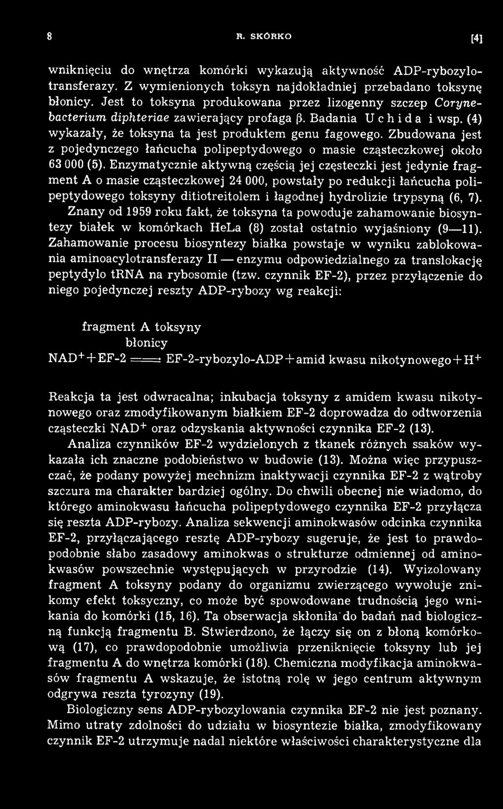 p sy n ą (6, 7). Znany od 1959 roku fakt, że toksyna ta powoduje zaham owanie biosyntezy białek w kom órkach HeLa (8) został ostatnio w yjaśniony (9 11).