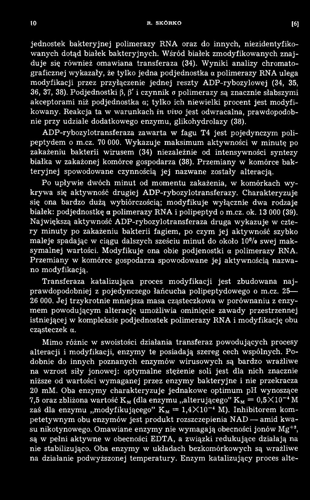 R eakcja ta w w aru n k ach in vivo jest odw racalna, praw dopodobnie przy udziale dodatkow ego enzym u, glikohydrolazy (38).