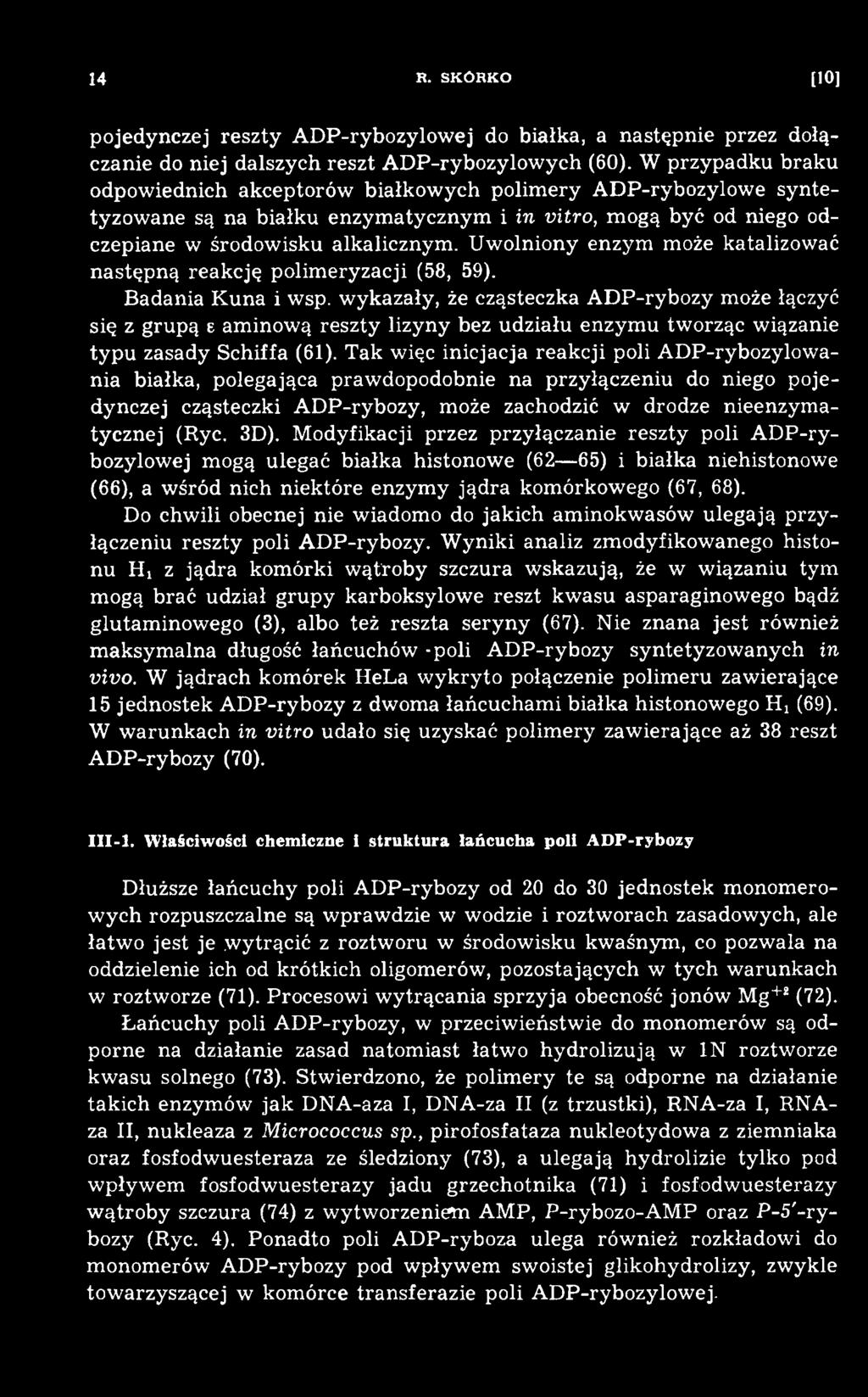 Tak więc inicjacja reakcji poli ADP-rybozylowania białka, polegająca praw dopodobnie na przyłączeniu do niego pojedynczej cząsteczki ADP-rybozy, może zachodzić w drodze nieenzym a- tycznej (Rye. 3D).