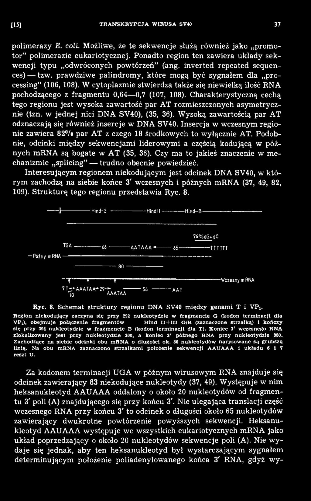 Wysoką zawartością par AT odznaczają się również insercje w DNA SV40. Insercja w wczesnym regionie zawiera 82 /o par AT z czego 18 środkowych to wyłącznie AT.