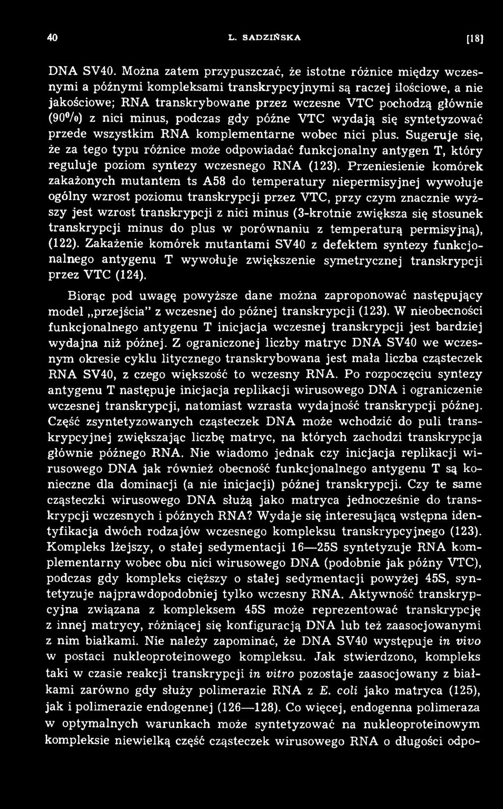 Przeniesienie kom órek zakażonych m utantem ts A58 do tem p eratu ry nieperm isyjnej w yw ołuje ogólny wzrost poziomu transkrypcji przez VTC, przy czym znacznie wyższy jest wzrost transkrypcji z nici