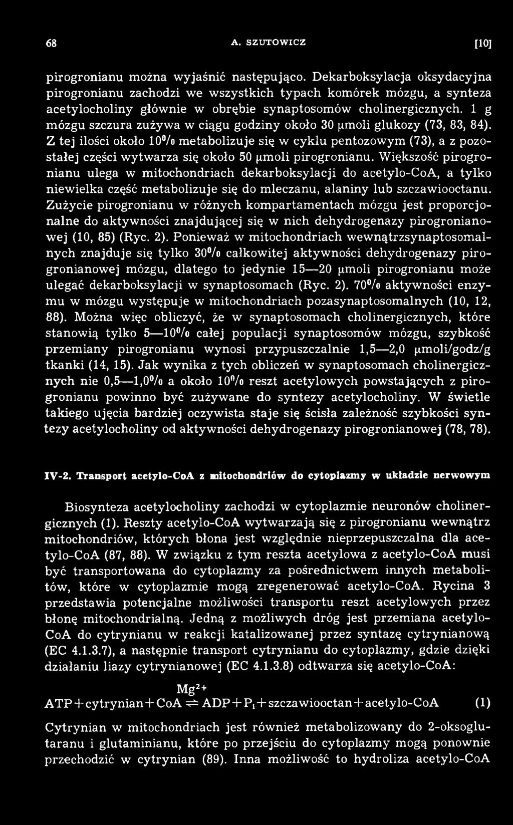 W iększość p irogronianu ulega w m itochondriach dekarboksylacji do acetylo-coa, a tylko niew ielka część m etabolizuje się do m leczanu, alaniny lub szczawiooctanu.