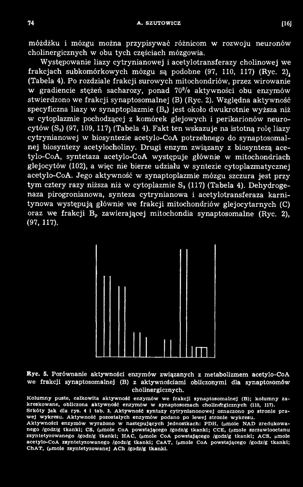 4). F akt ten w skazuje na istotną rolę liazy cy trynianow ej w biosyntezie acetylo-c oa potrzebnego do synaptosom alnej biosyntezy acetylocholiny.