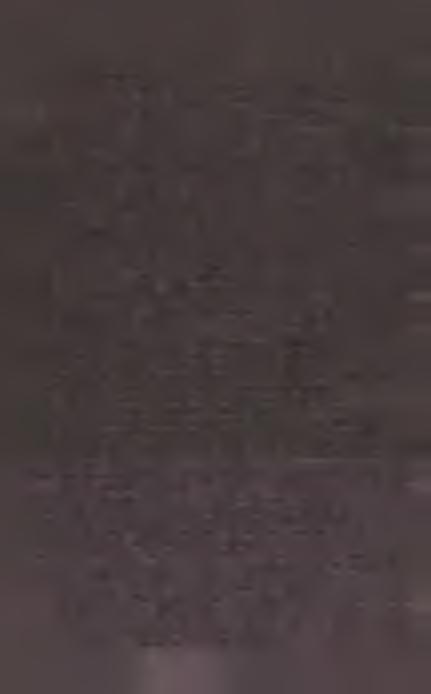 Neurochem., 16, 1283 1291. 80. M e Candless D.W., Schenker S., (1968), J. Clin, Invest., 47, 2268 2280 81. Blass J. P., C e d e r b a u m S. D., Gibson G. E.