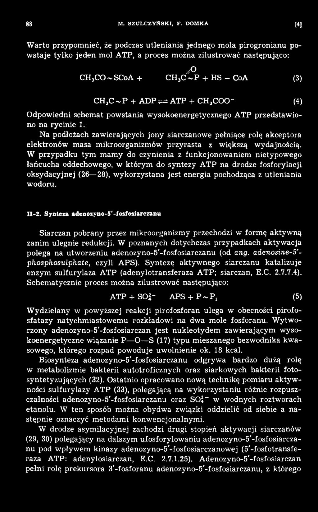 W przypadku tym m am y do czynienia z funkcjonow aniem nietypowego łańcucha oddechowego, w którym do syntezy ATP na drodze fosforylacji oksydacyjnej (26 28), w ykorzystana jest energia pochodząca z