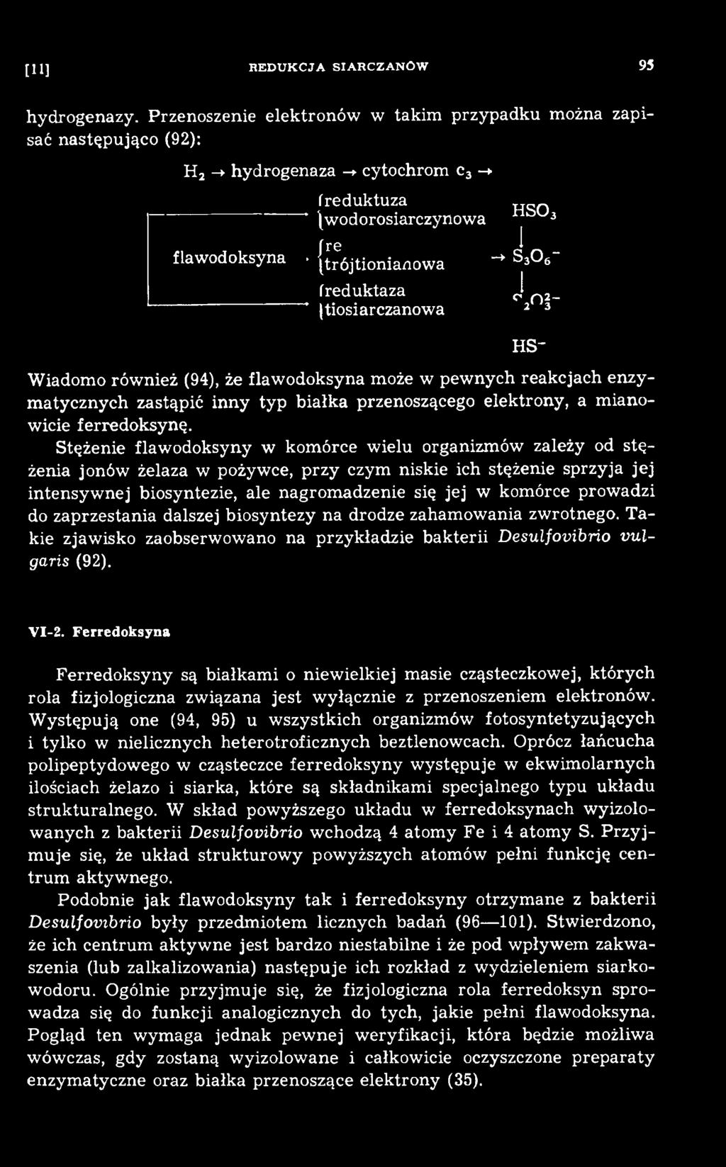 Stężenie flaw odoksyny w kom órce w ielu organizm ów zależy od stę żenia jonów żelaza w pożywce, przy czym niskie ich stężenie sprzyja jej intensyw nej biosyntezie, ale nagrom adzenie się jej w