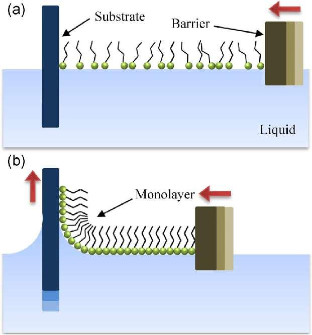 W4. Warstwy Langmuir-Blodgett Monowarstwa Langmuira - nierozpuszczalna, monomolekularna warstwa substancji filmotwórczej, pozostałą po odparowaniu lotnego rozpuszczalnika na powierzchni