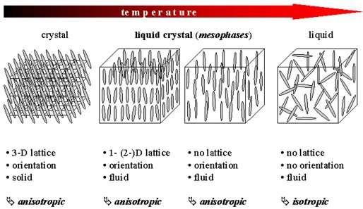 W4. Ciekłe kryształy - uporządkowane (w pewnym