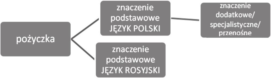denas în oftalmologie