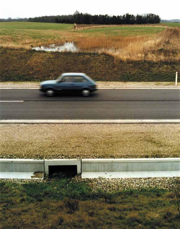 Znak ograniczenia prędkości w miejscach, gdzie wędrują płazy (Szwecja,