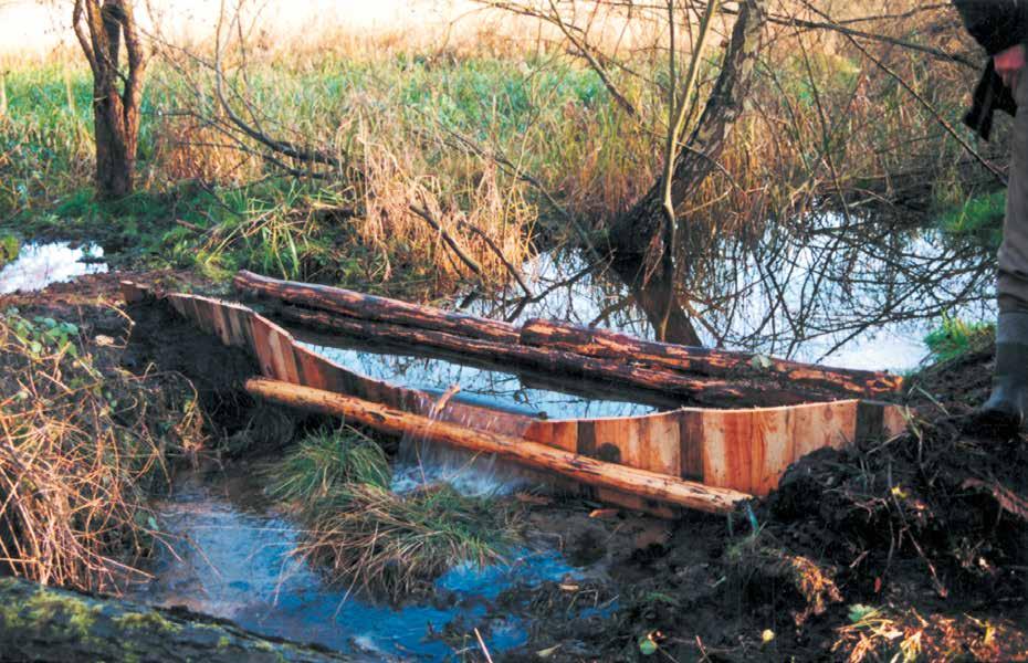 60 OCHRONA ŻÓŁWIA BŁOTNEGO, TRASZKI GRZEBIENIASTEJ I KUMAKA NIZINNEGO Fot.