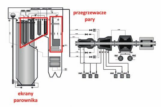 wydłużenia względne.