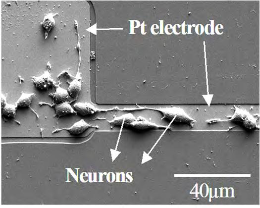 System (MEMS) Elektroniczna