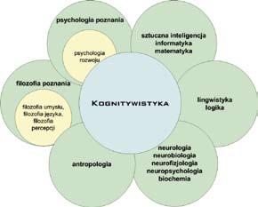 Referaty Procesy zachodzące w mózgu człowieka podczas realizacji funkcji były tematem analiz teoretycznych i badań empirycznych od bardzo wielu lat. Pewien (subiektywny!