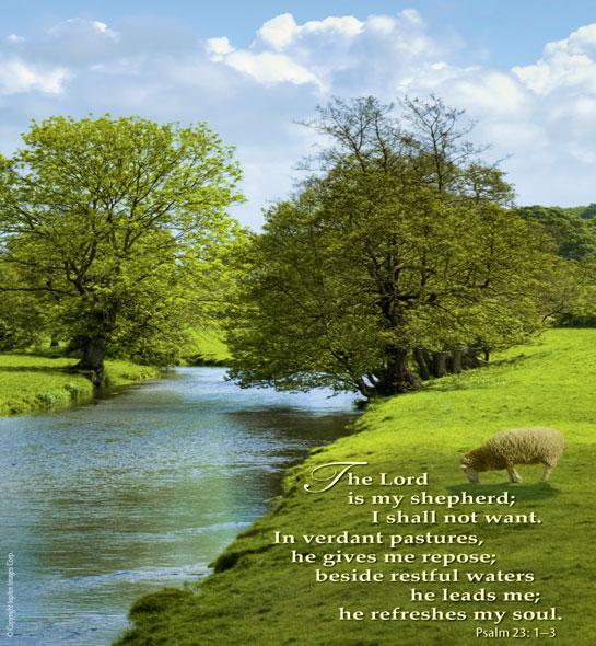 Ron Mazzoni The Order of Mass pages 2-5 The Devotional Prayer for July The Precious Blood of Jesus The Litany is on page 6 Sixteenth Sunday in Ordinary Time July 19, 2015 Behold, the days are coming,