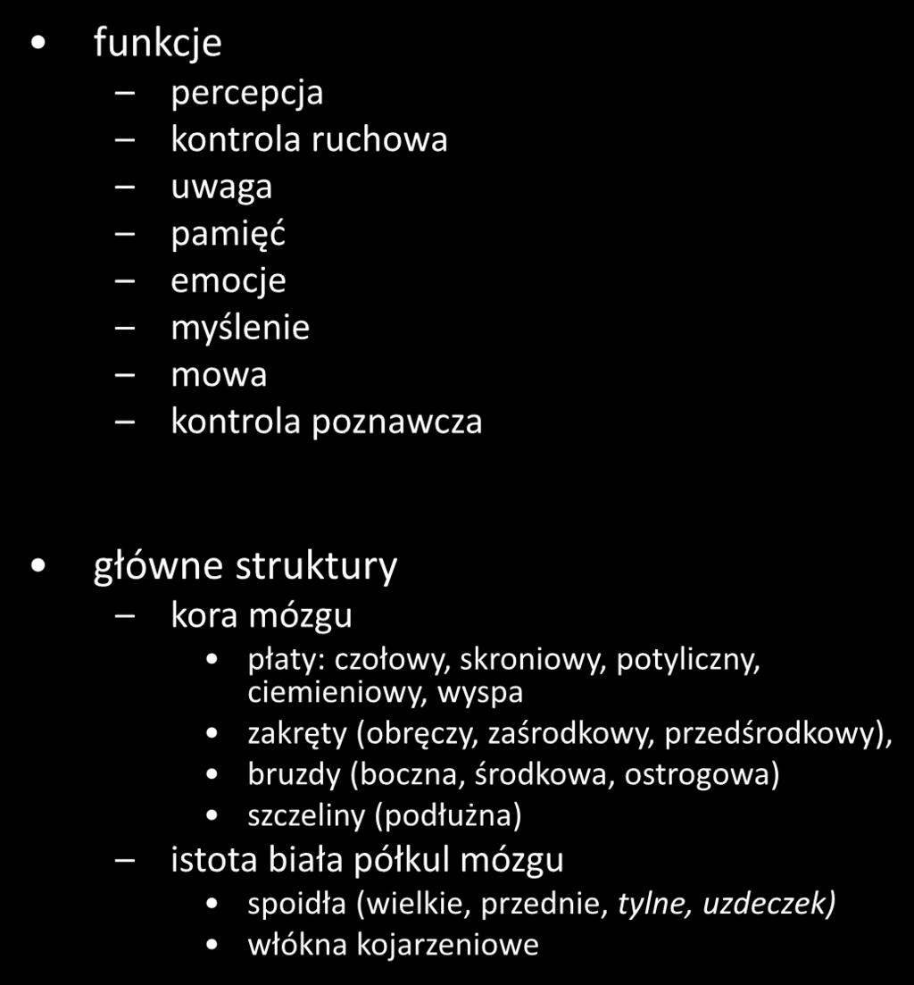 półkule mózgu funkcje percepcja kontrola ruchowa uwaga pamięć emocje myślenie mowa kontrola