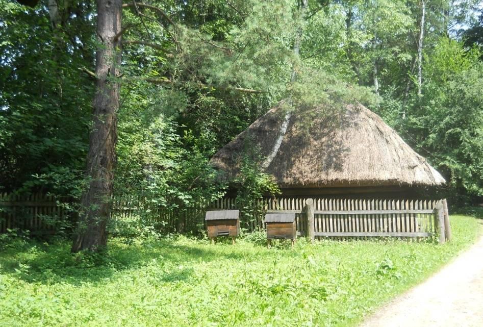 Starym Sączu, Zamek Stara Baśń w Grybowie rekonstrukcja