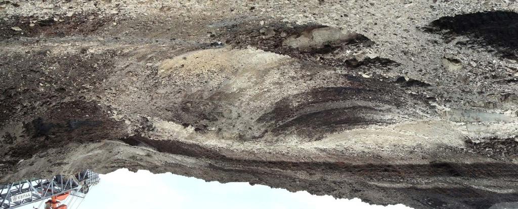 kopaliny towarzyszące W złożach węgla brunatnego litologicznie odmiany tych skał.